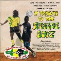 A TRIBUTE TO THE REGGAE BOYZ